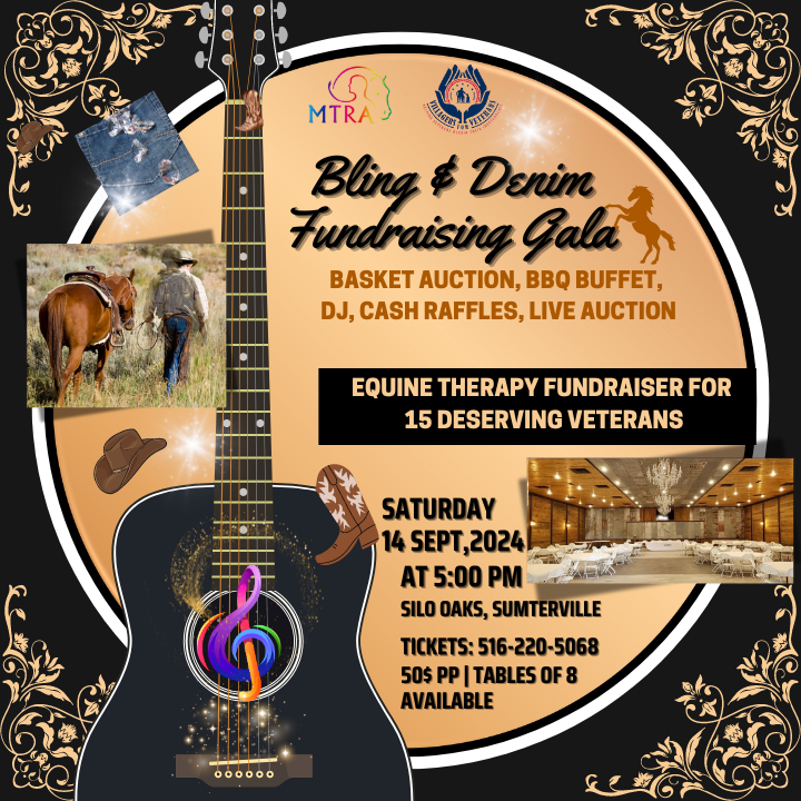 BLING AND DENIM FUNDRAISING GALA image