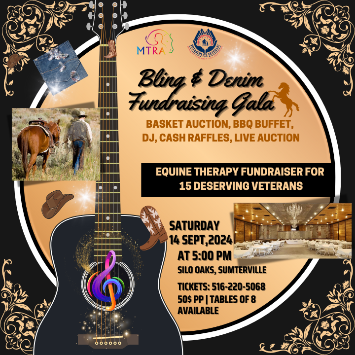 Get Information and buy tickets to BLING AND DENIM FUNDRAISING GALA  on VIllagers For Veterans