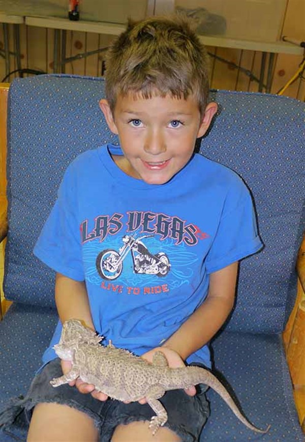Morning Homeschool Session: Lizards as Pets image