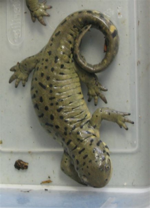 Holiday Break Camp - Surviving the Cold image