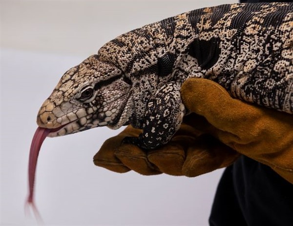 Teen Hangout: High School image