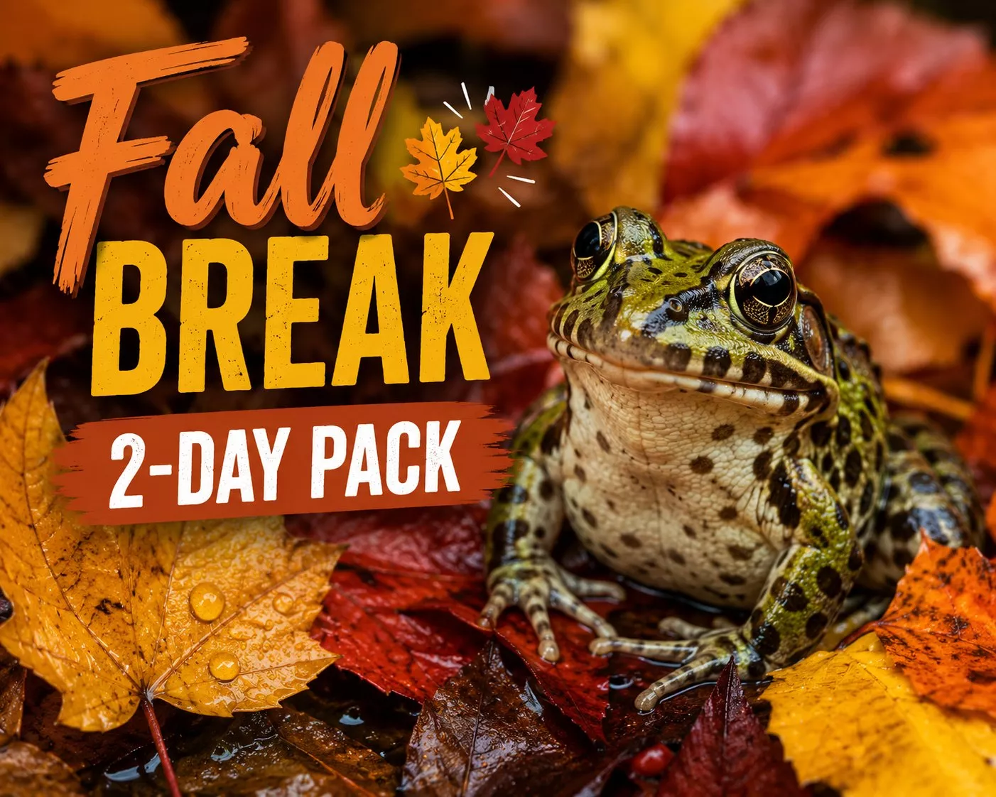 Fall Break Day Camp 2 day pack image