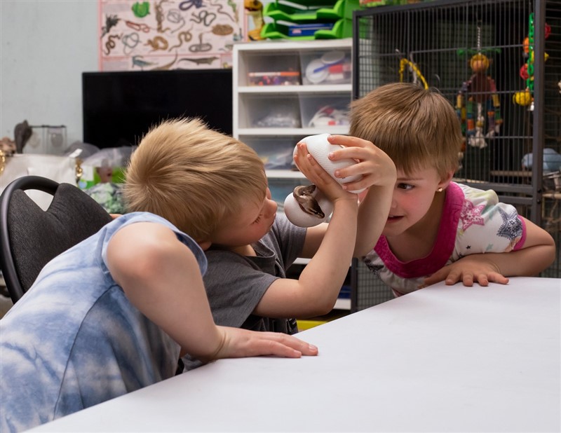 Fall Daycamp Oct 16 (Strike Care)