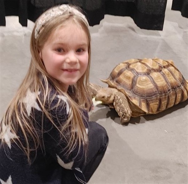 Get Information and buy tickets to Spring Break: Shello Turtles and Tortoises  on YYC Nature & Education Centre