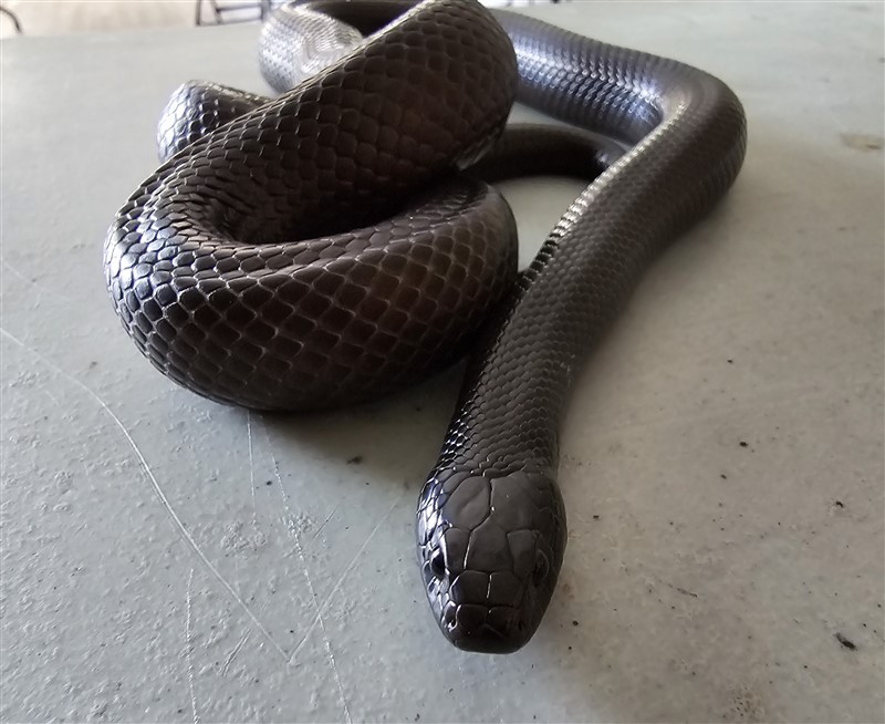 Fall Daycamp Oct 14 (Strike Care)