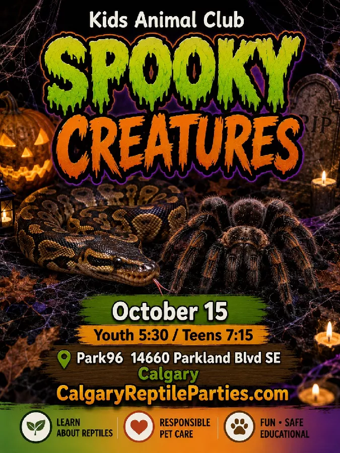 Teen Club Park96: Spooky Creatures