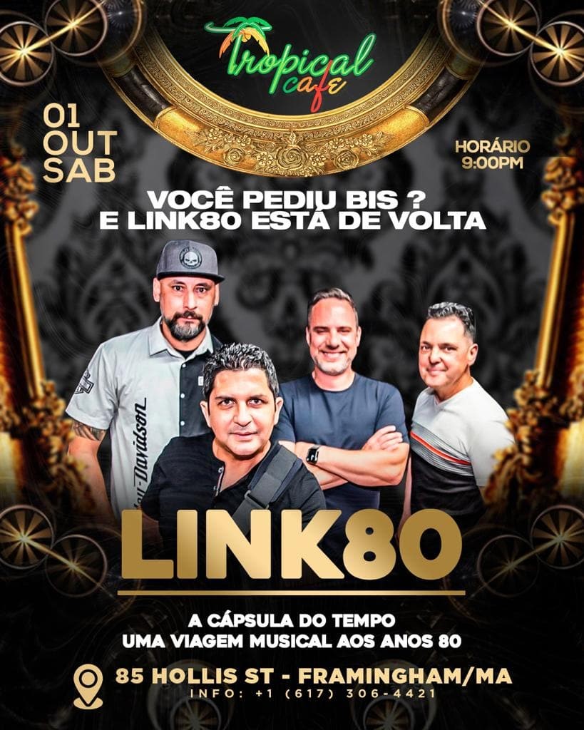 LINK 80 image