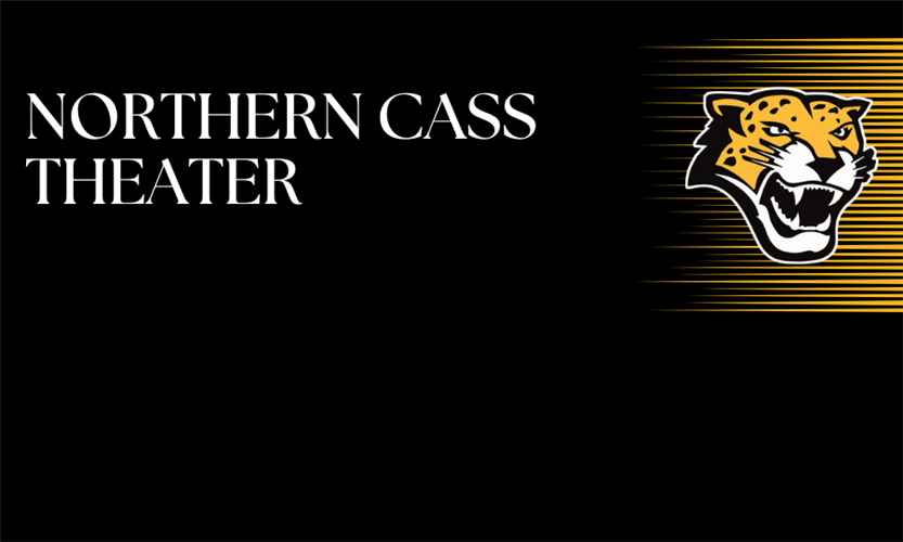 Northern Cass Public School image