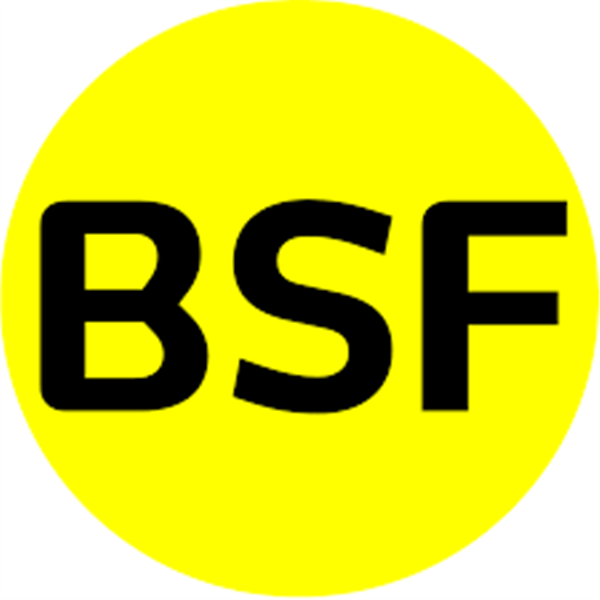 Congreso BSF image