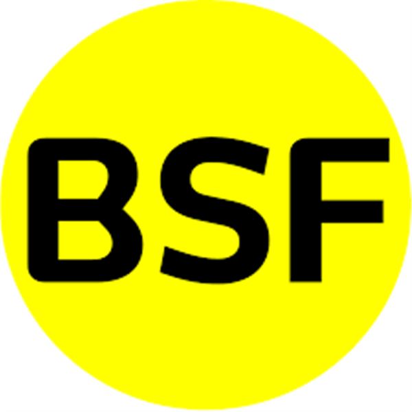 Congreso BSF