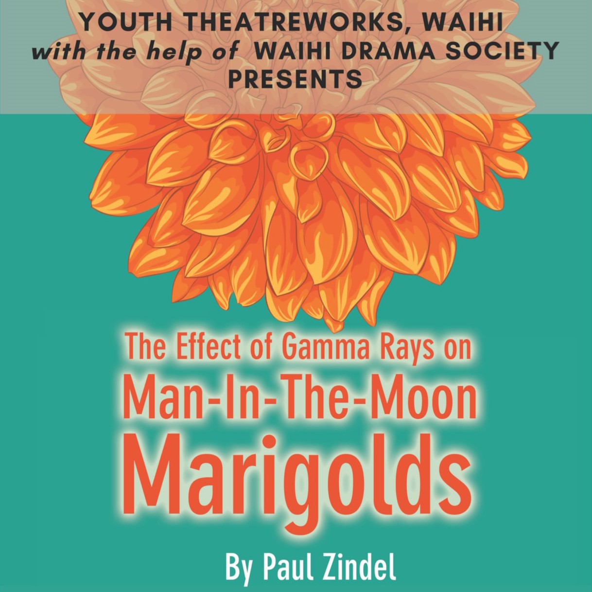 The Effect of Gamma Rays on The-Man-in-The-Moon Marigolds image