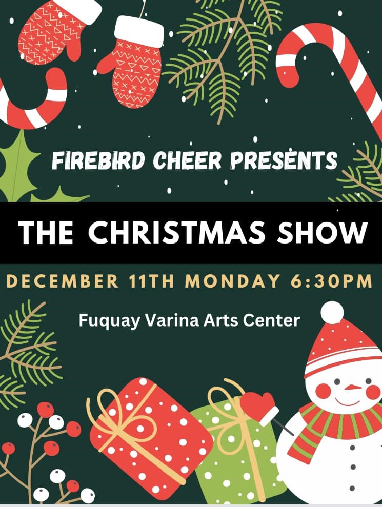Firebird Cheer Christmas Show image