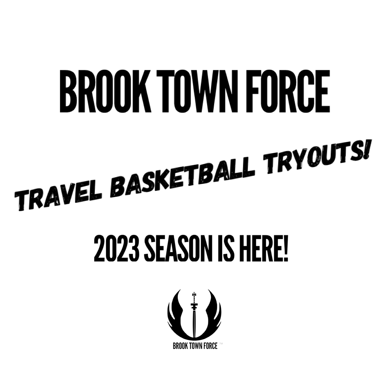 Brook Town Force basketball tryouts image