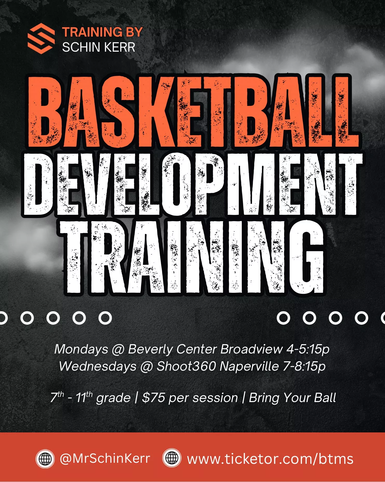 Basketball Development Training (single session)