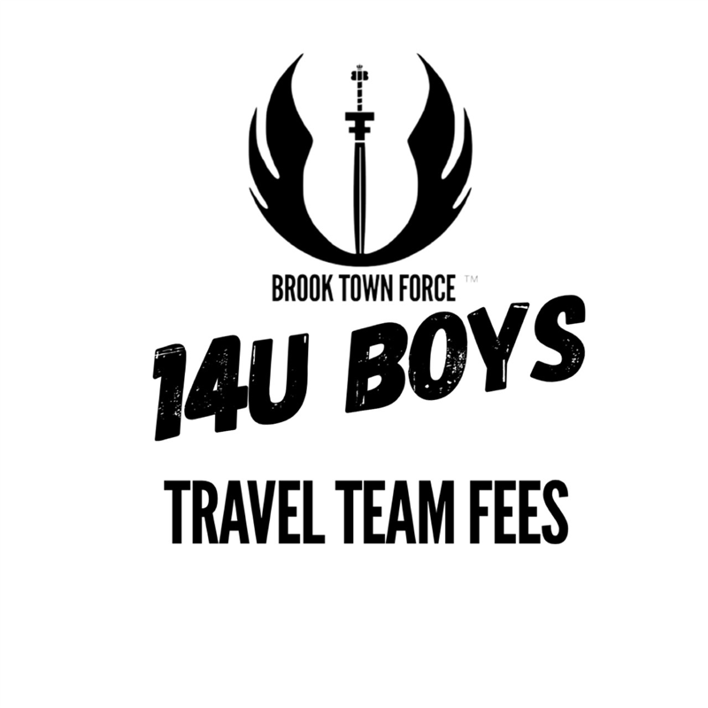 14U travel team fees