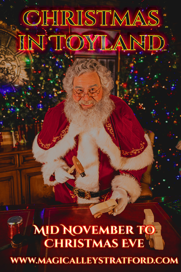 Magic Alley Christmas trip