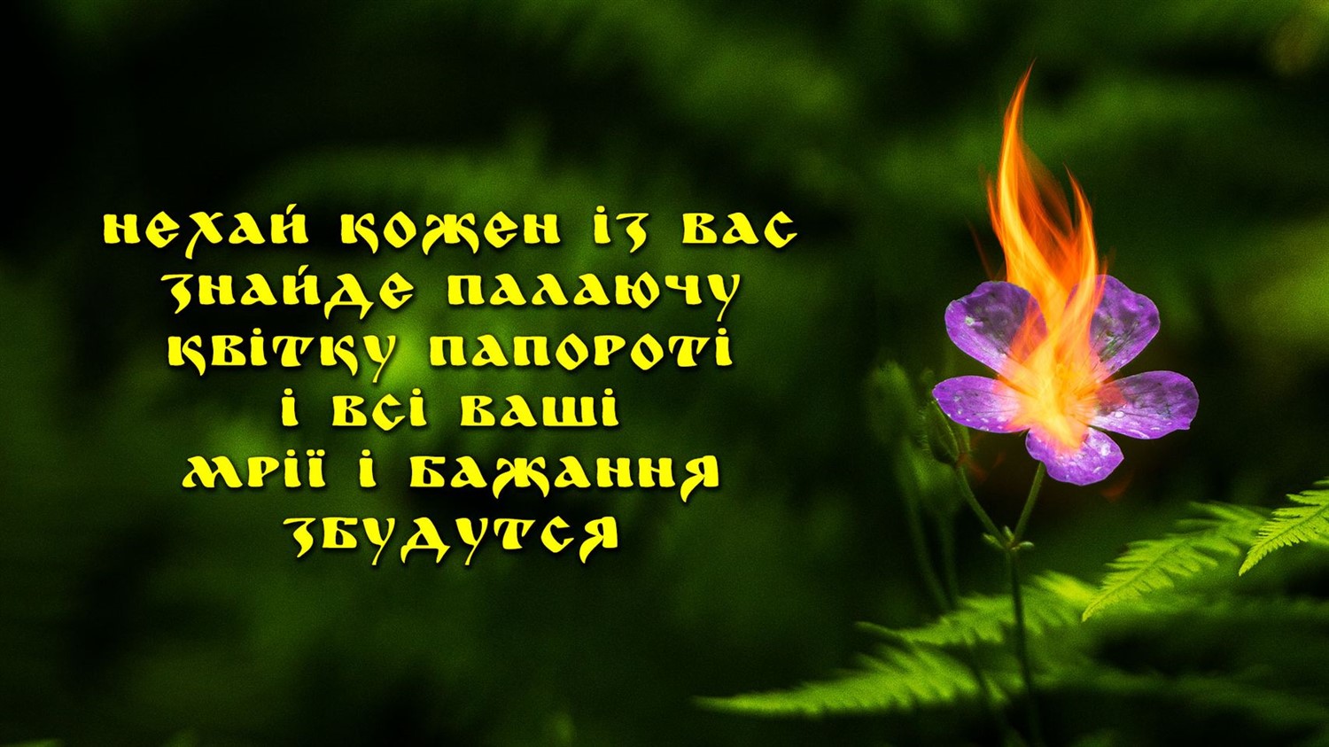 Ivana Kupala - Івана Купала image