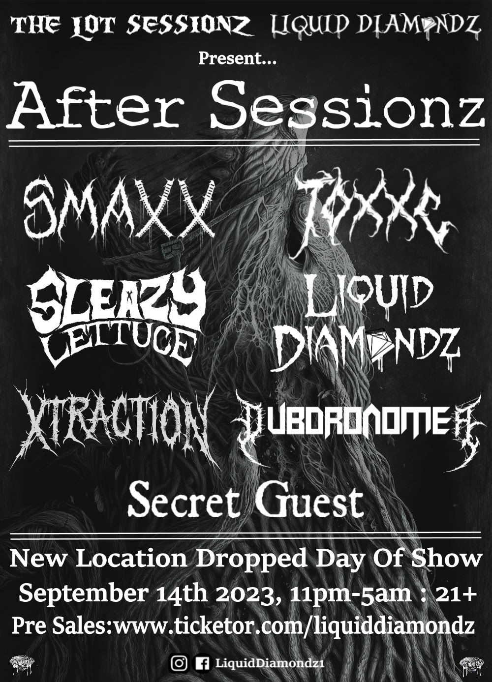 Liquid Diamondz & The Lot Sessionz Present After Sessionz image