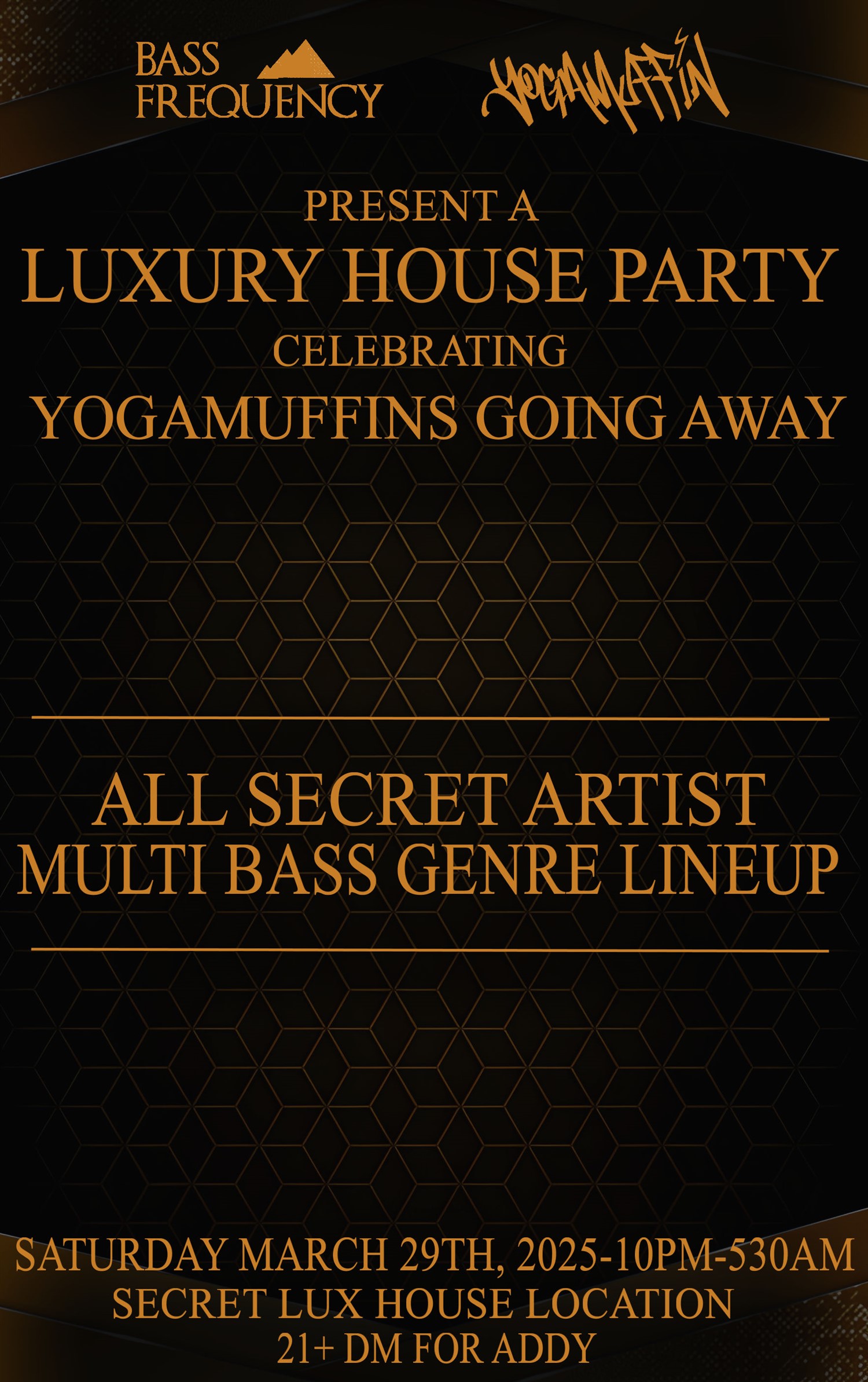 LUXURY HOUSE PARTY image