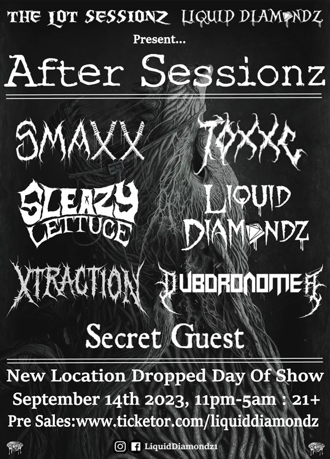 Liquid Diamondz & The Lot Sessionz Present After Sessionz