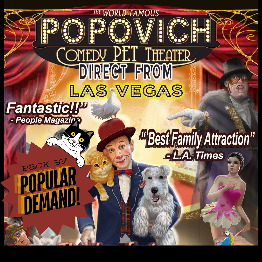 Comedy Pet Theater image