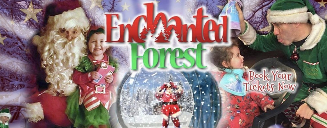 Enchanted Forest image