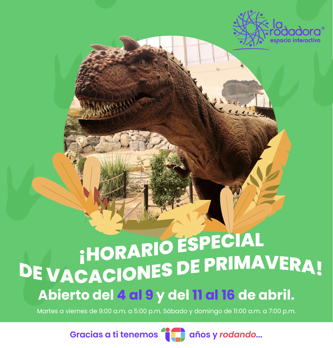 Accesos Museo image