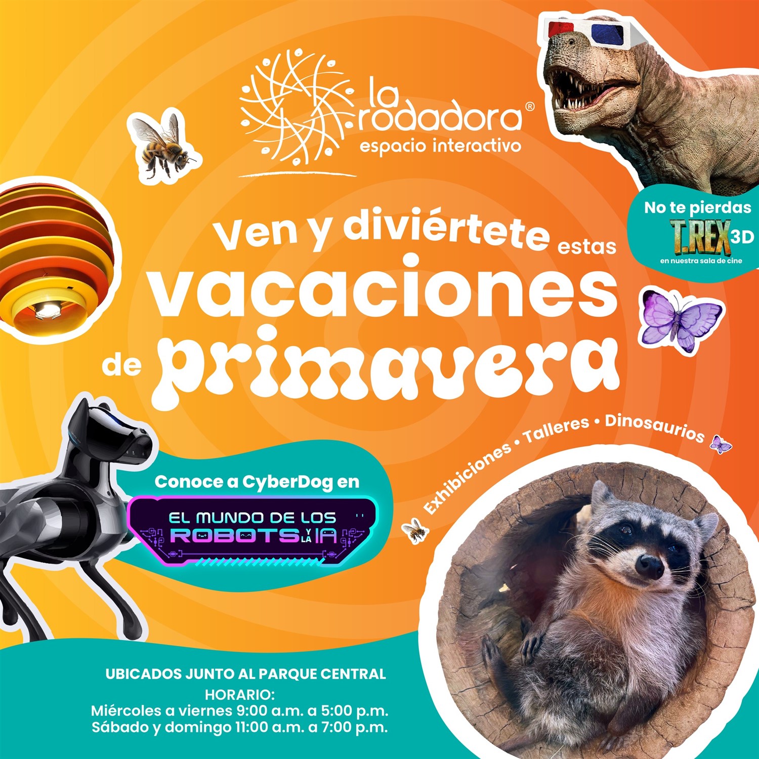Accesos Rodadora image