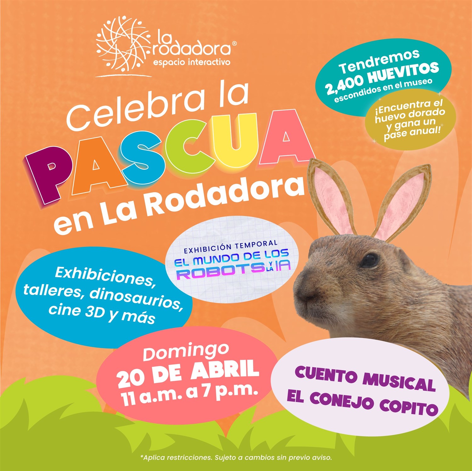 Accesos Rodadora image