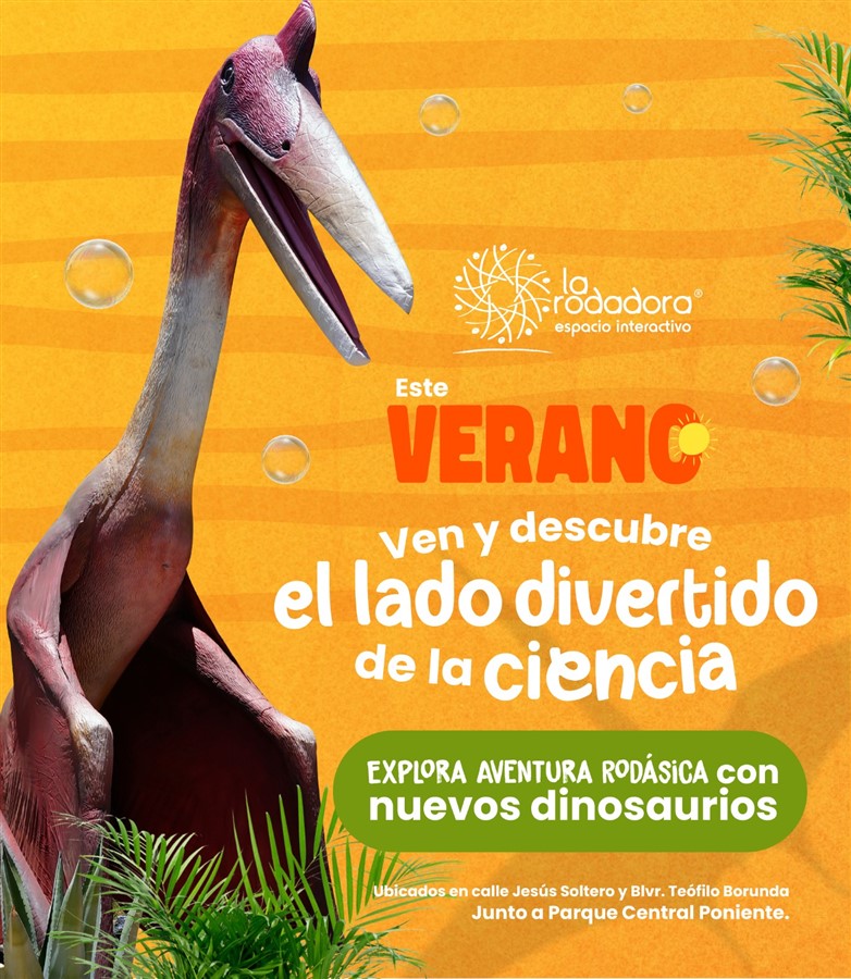 Accesos Rodadora