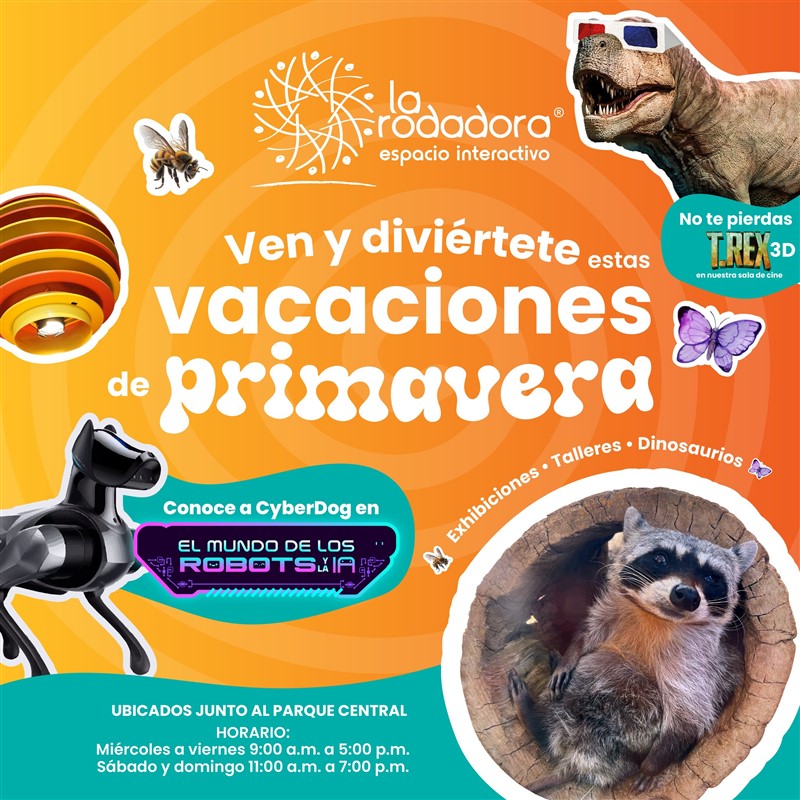 Accesos Rodadora