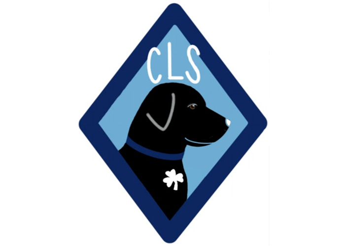 CLS Spring Musical image