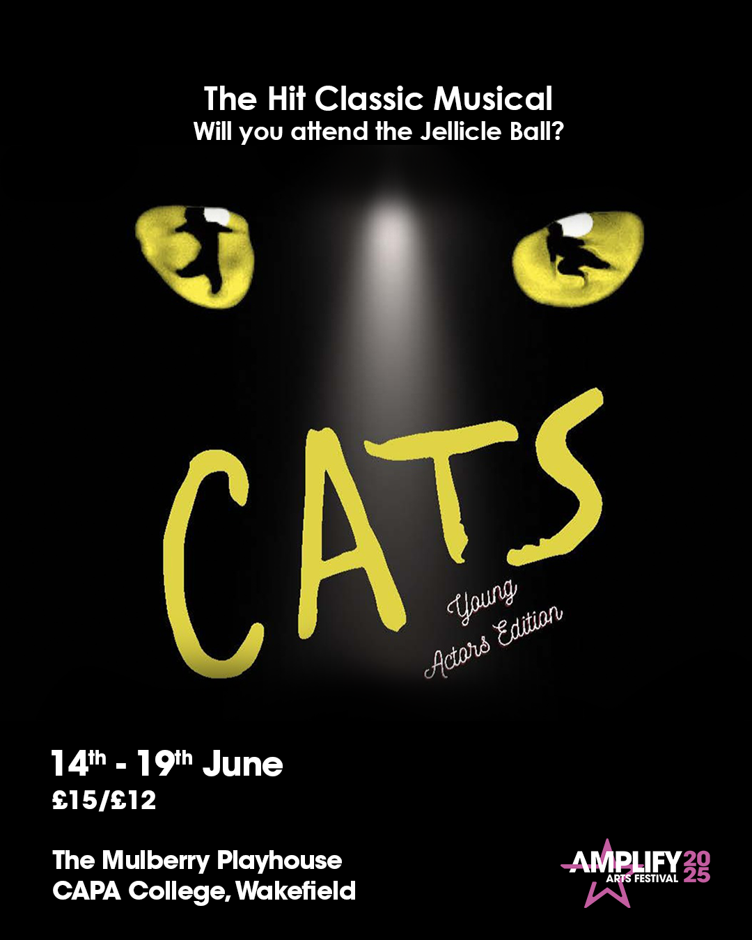 CATS image