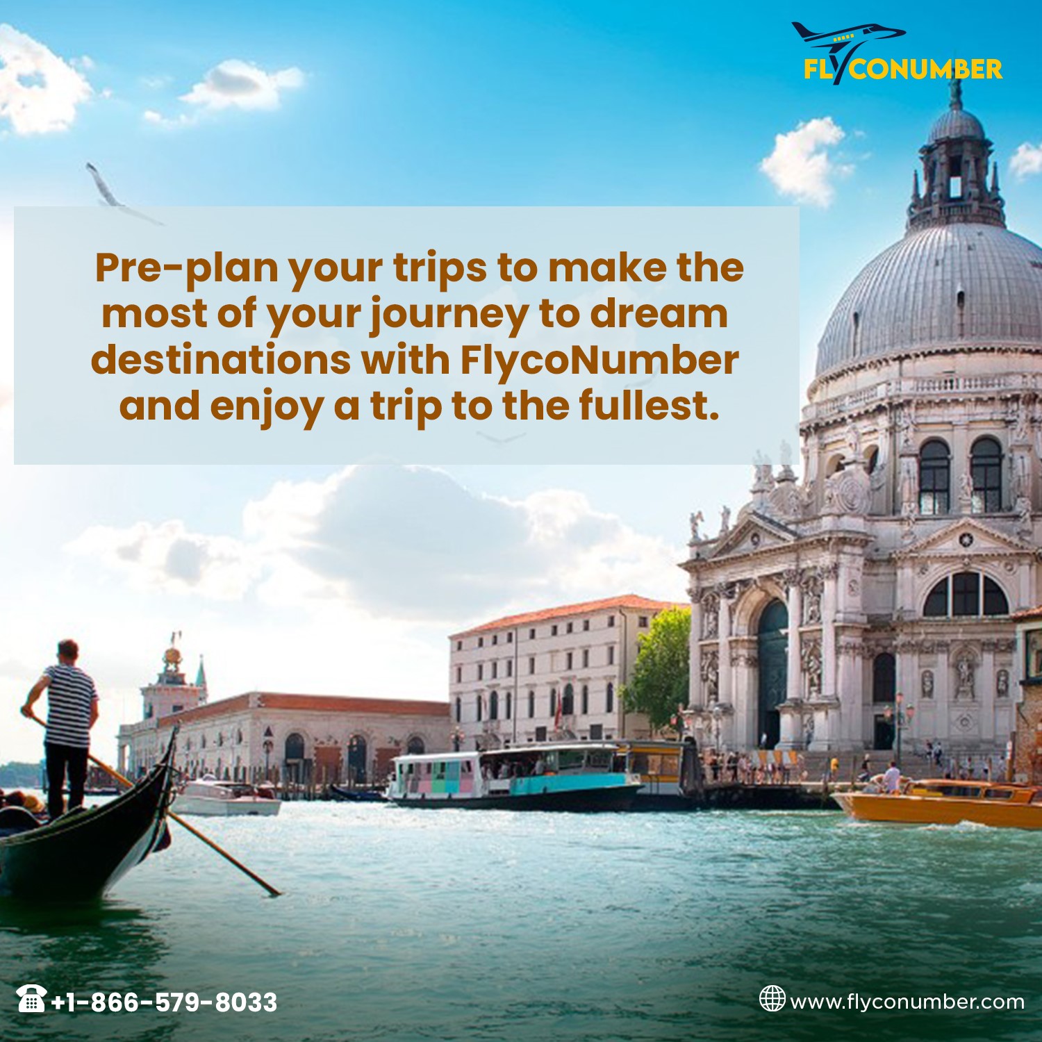 Contact FlycoNumber image