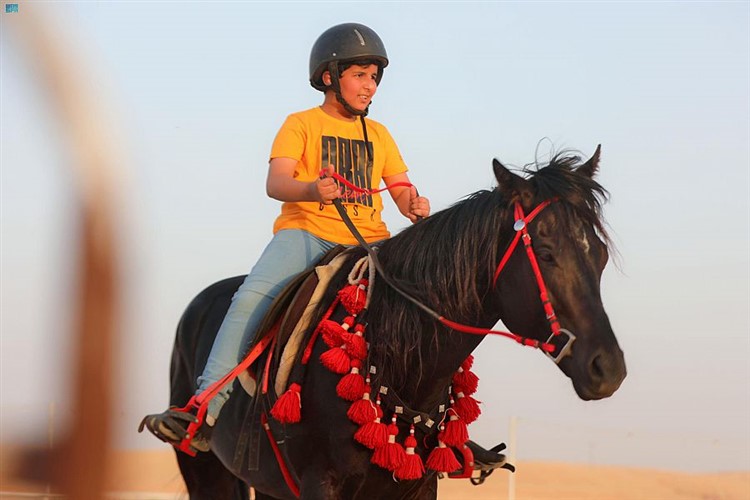 Sacred Heart University image