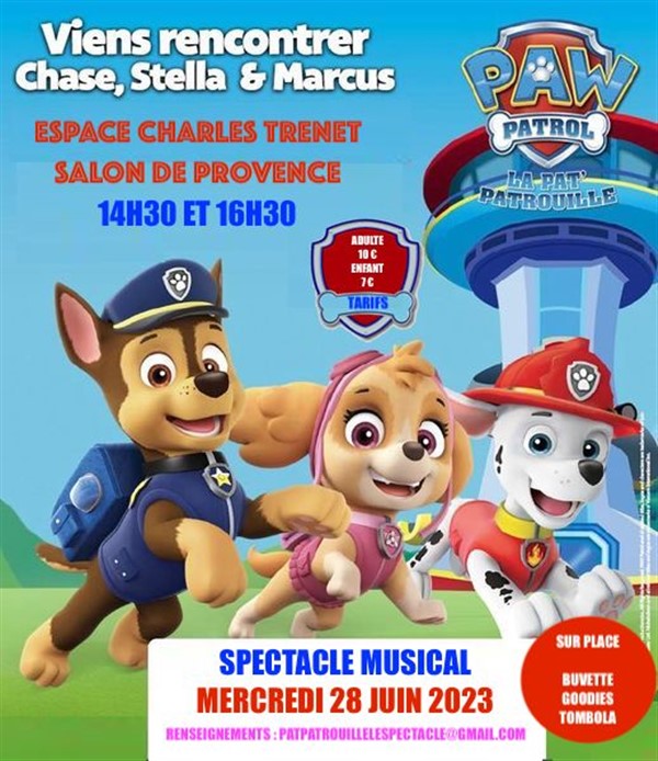 LA PAT PATROUILLE FAIT SON SHOW image