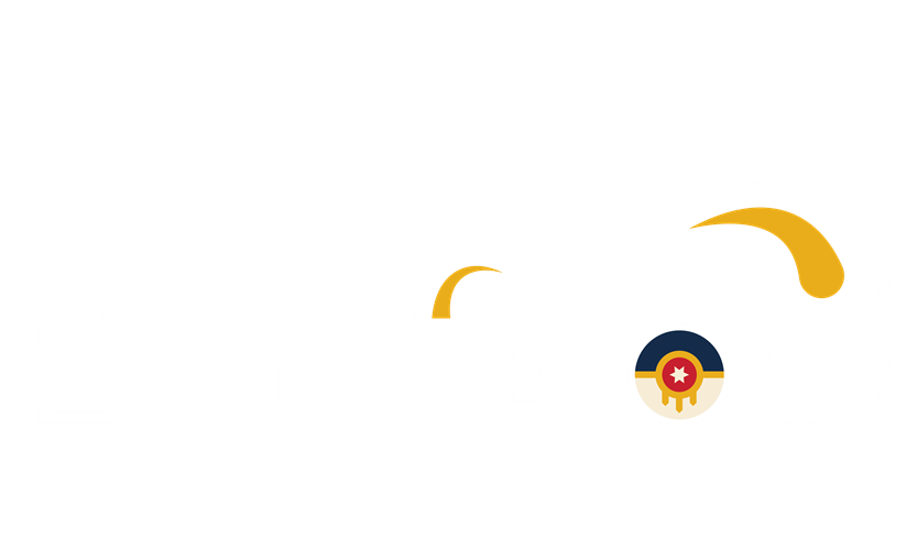 Gaitero's image