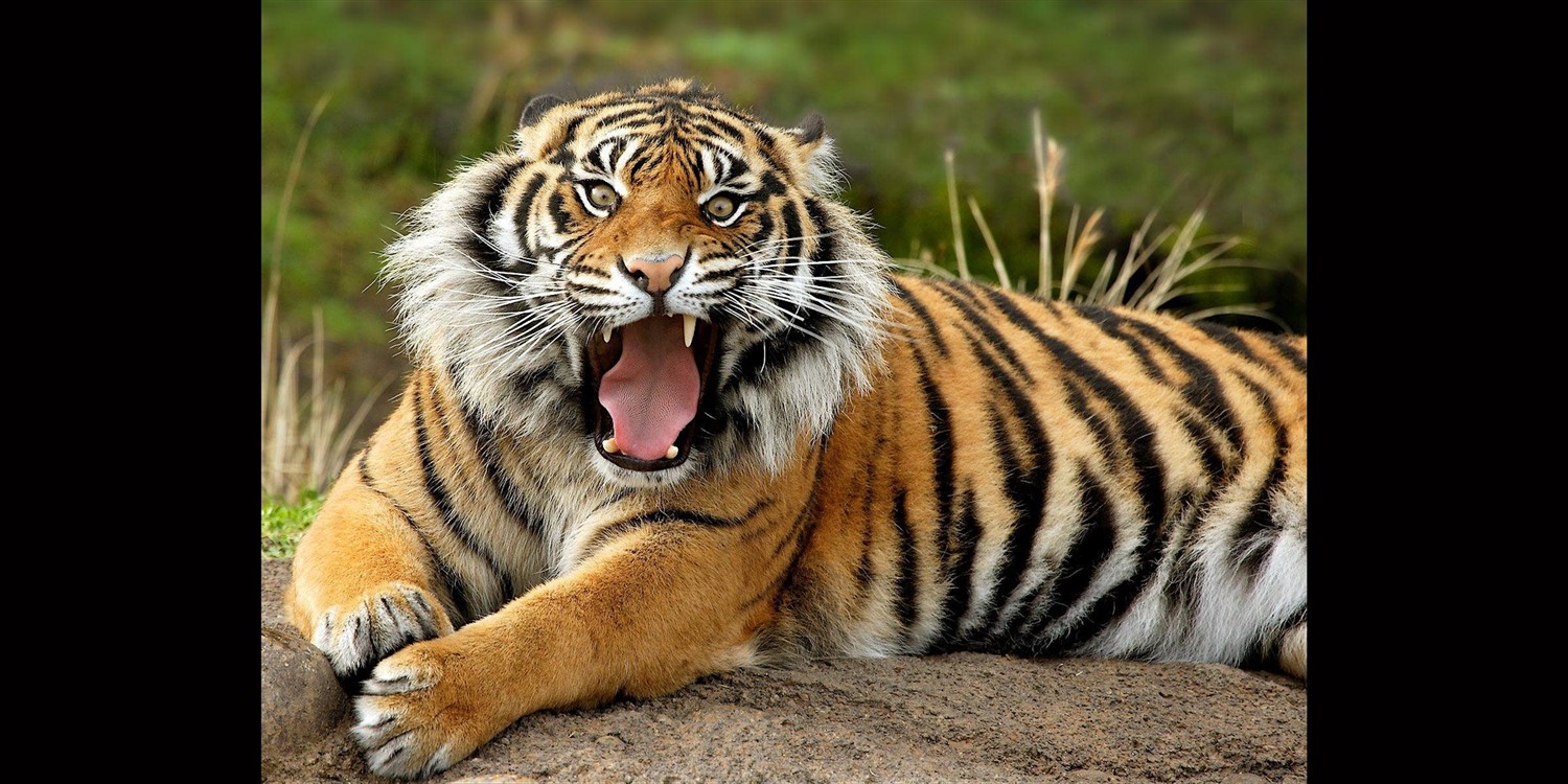 Explore the Indianapolis Zoo with OM System – Photowalk image