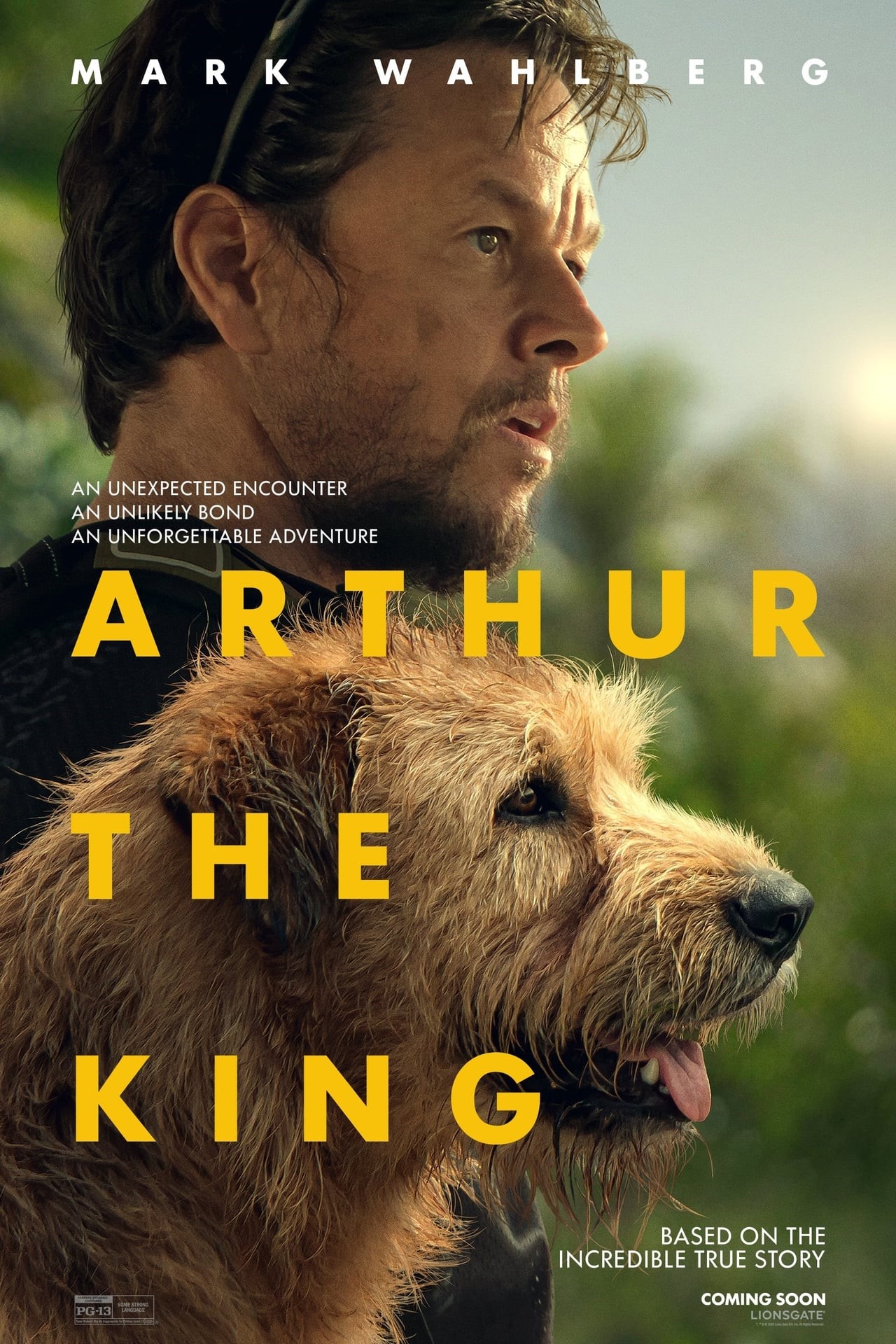 ARTHUR THE KING image