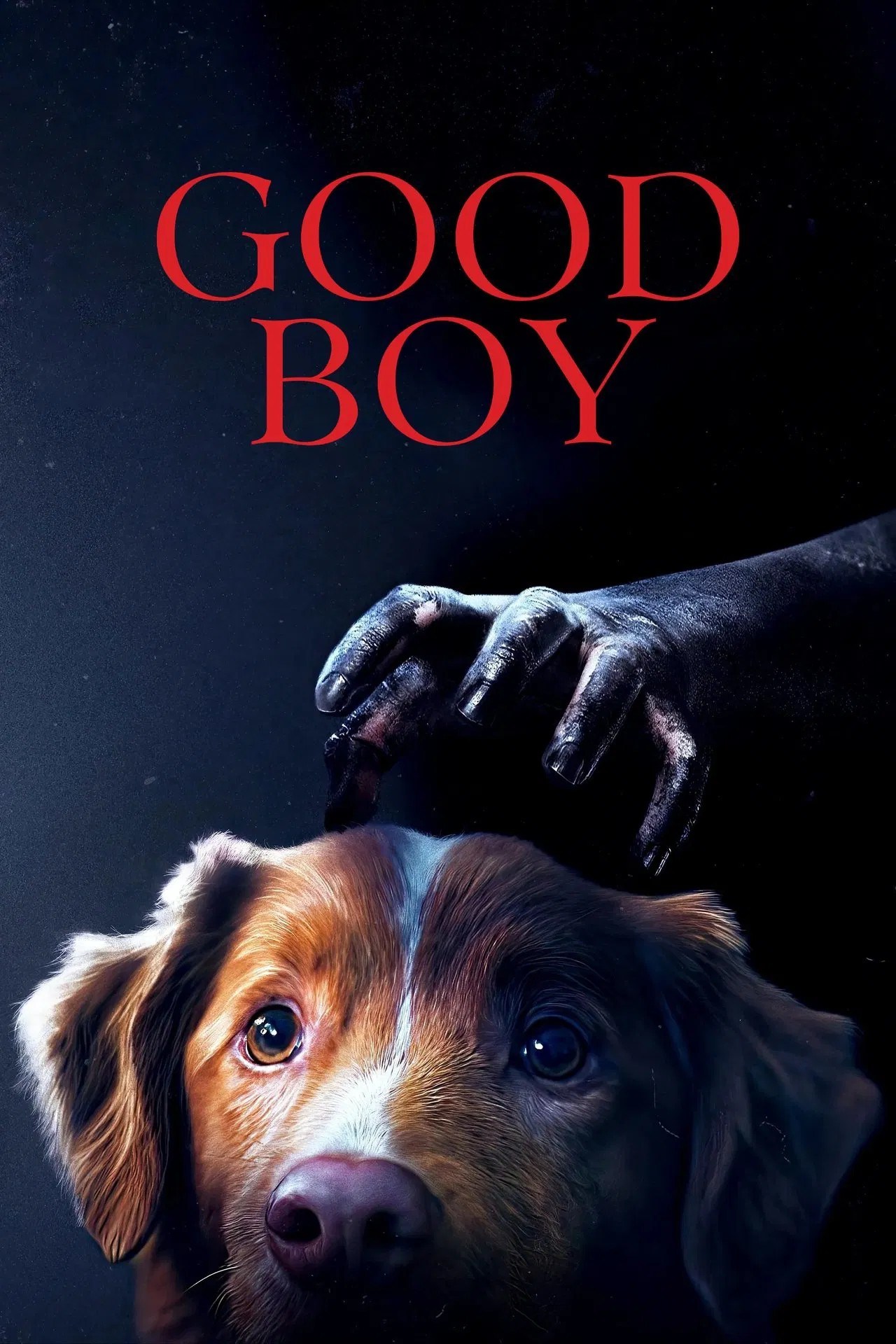 GOOD BOY image
