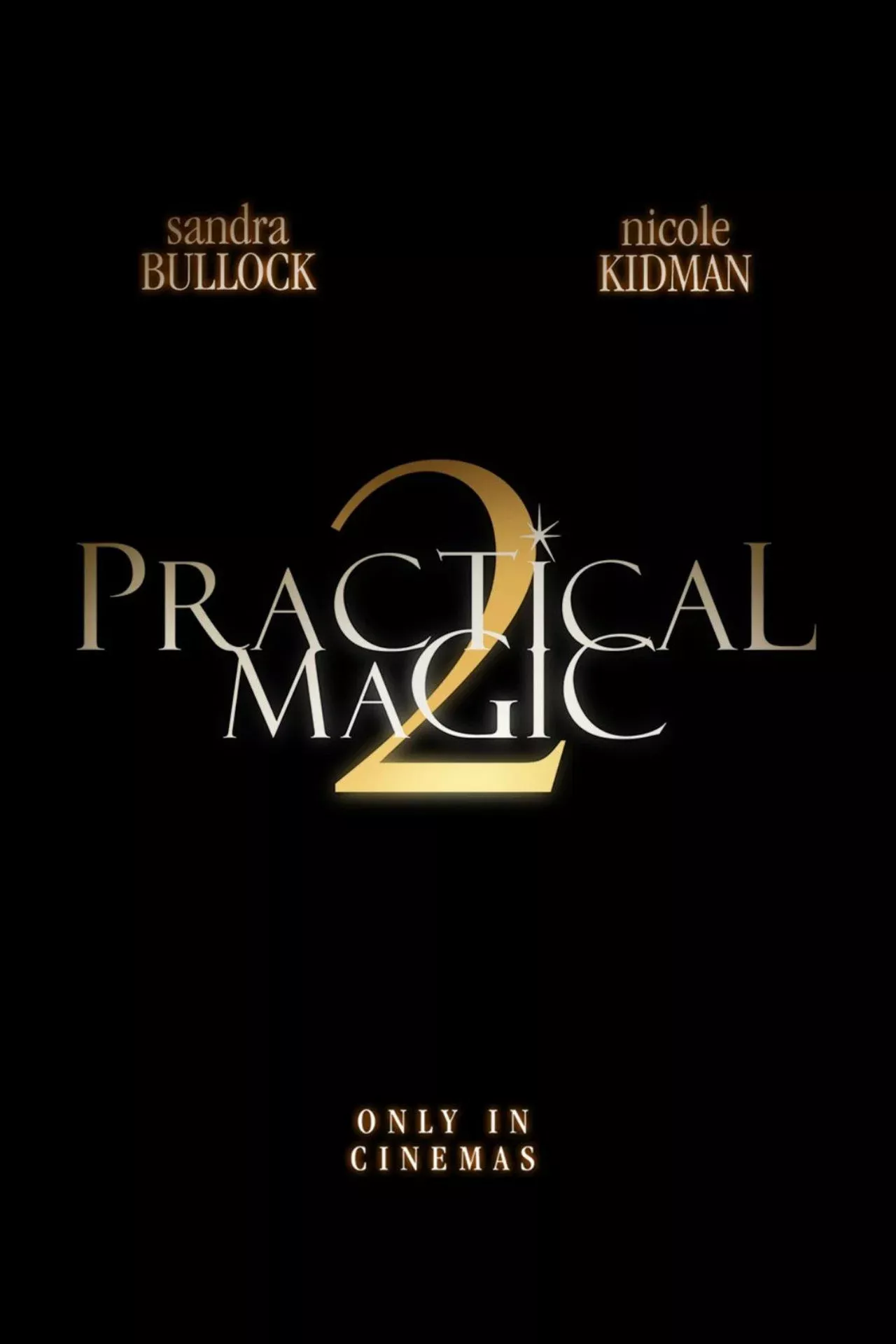 PRACTICAL MAGIC 2 image
