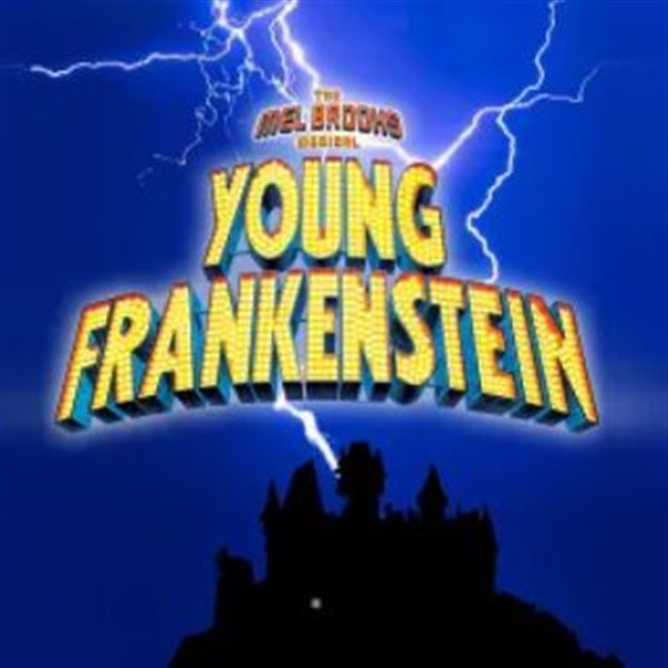 Young Frankenstein image