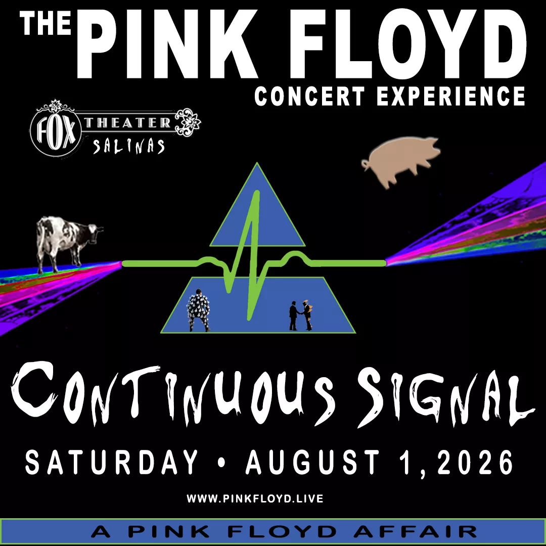 The Pink Floyd Concert Experience image