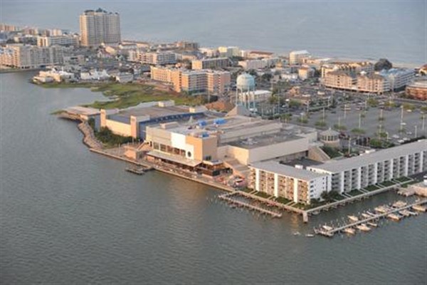 Ocean City Gun Show image