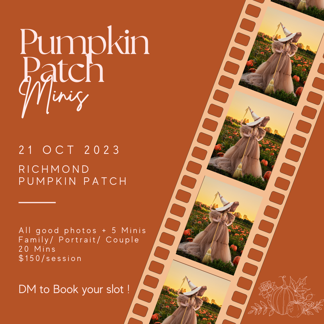 Pumpkin Patch Minis image