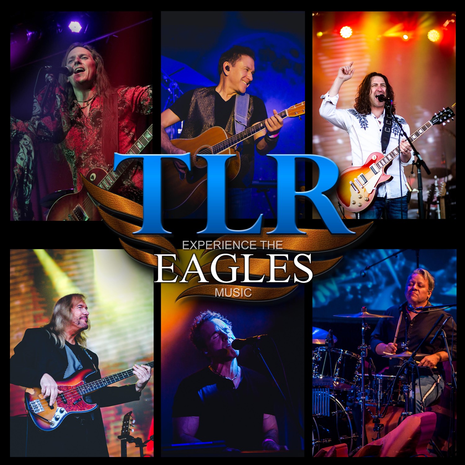 EAGLES image