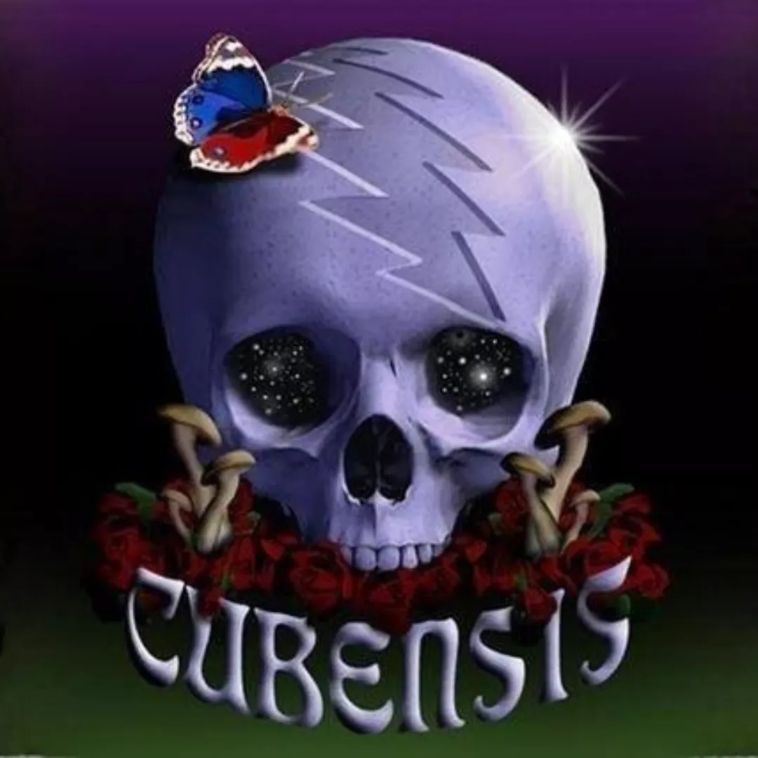 Cubensis The Grateful Dead Experience image