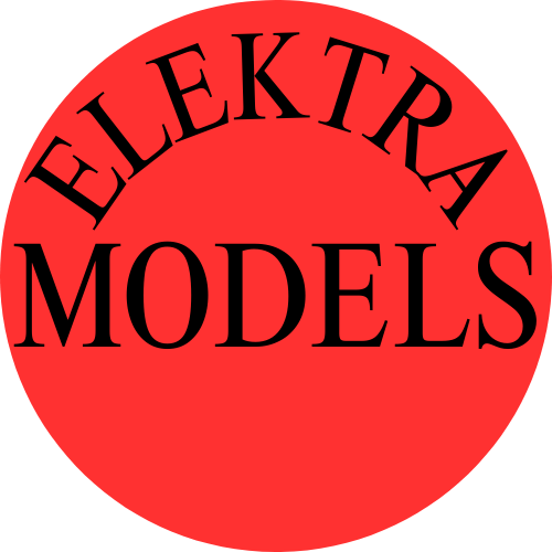 NYFW Model Coordinator image