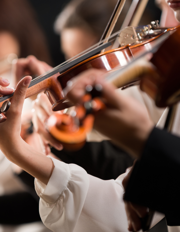 HN24 - Orchestral Concert image