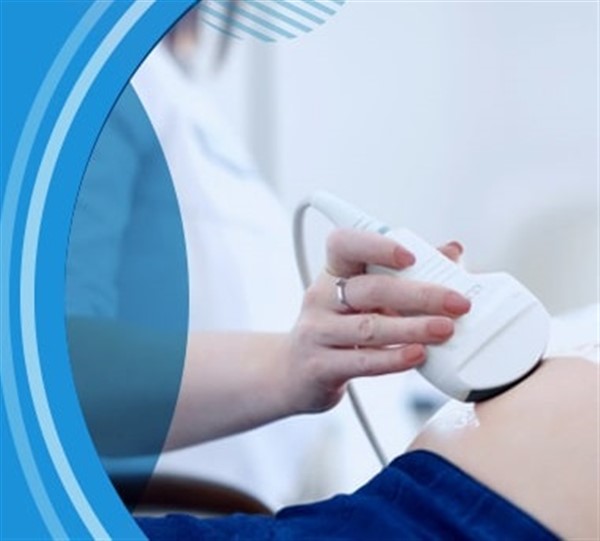 Gastric Ultrasound Workshop